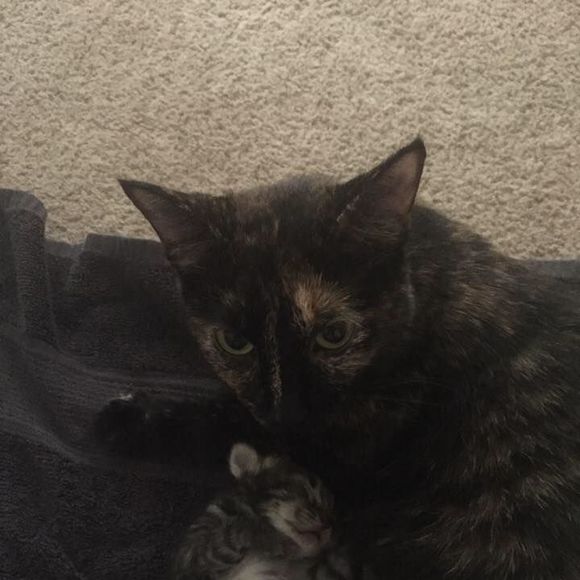 Meet your Posher, Ro - Picture 1 of 1